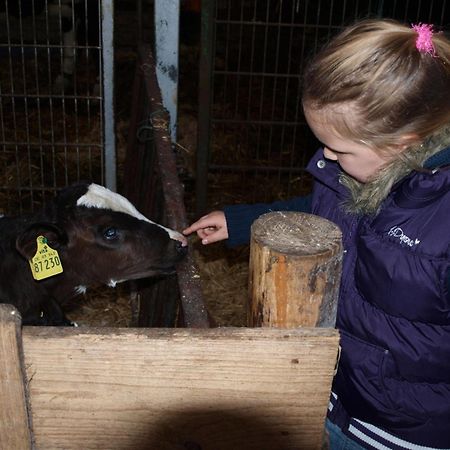 Ferienhaus Auf Dem Hof Wanna Eksteriør billede